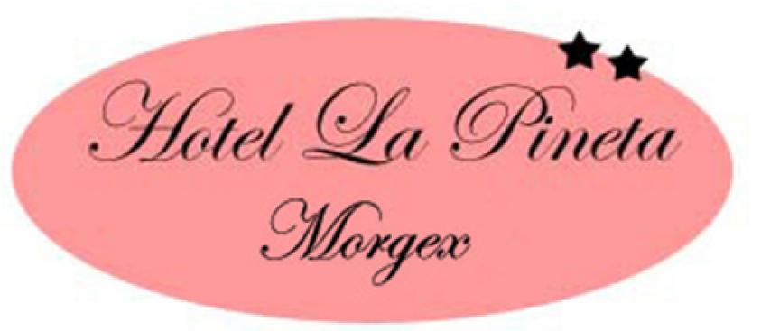 hotel la pineta