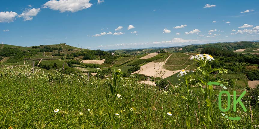 Dati sul turismo in Piemonte estate 2017